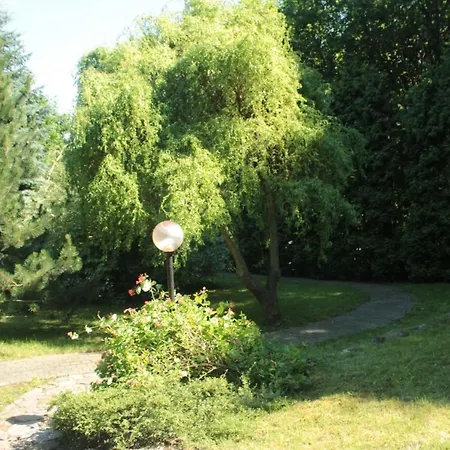 Szkocka
